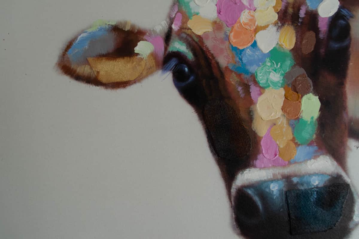 Zweite Heimat Cow View